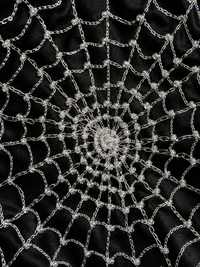 Cobweb Zari Top